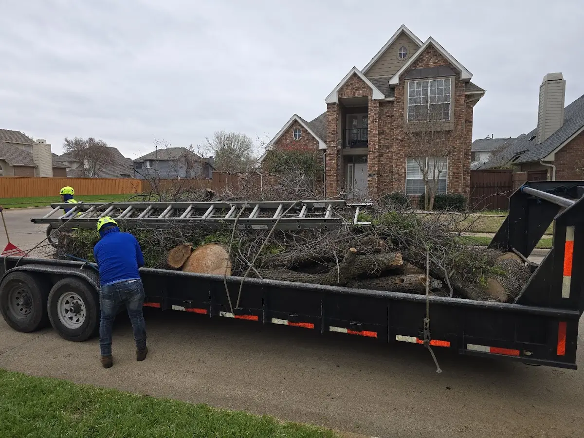 Expert Crown Reduction with proper safety equipment in Ottoville